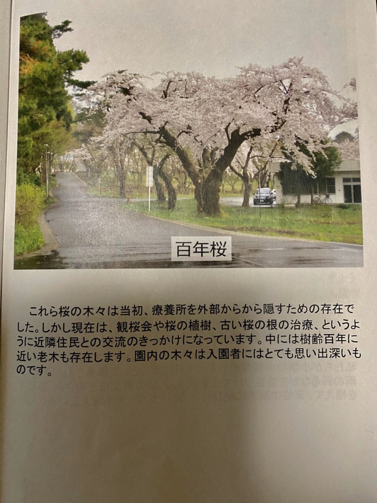 国立療養所松丘保養園創立110周年記念式典に参加 |高橋ちづ子(日本共産党衆議院議員) 国立療養所松丘保養園創立110周年記念式典に参加 |高橋ちづ子(日本共産党衆議院議員)